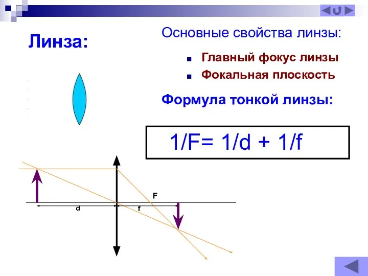 Линза: Главный фокус линзы Фокальная плоскость Основные свойства линзы: Формула тонкой линзы: 1/F= 1/d + 1/f