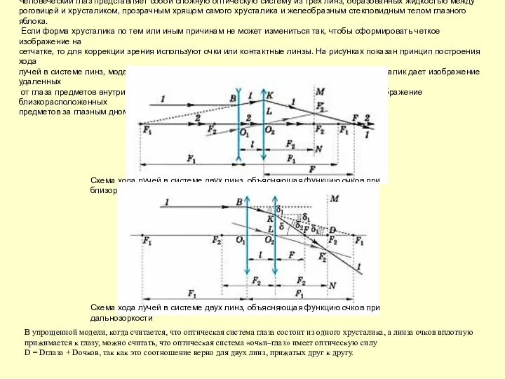 Человеческий глаз представляет собой сложную оптическую систему из трех линз, образованных