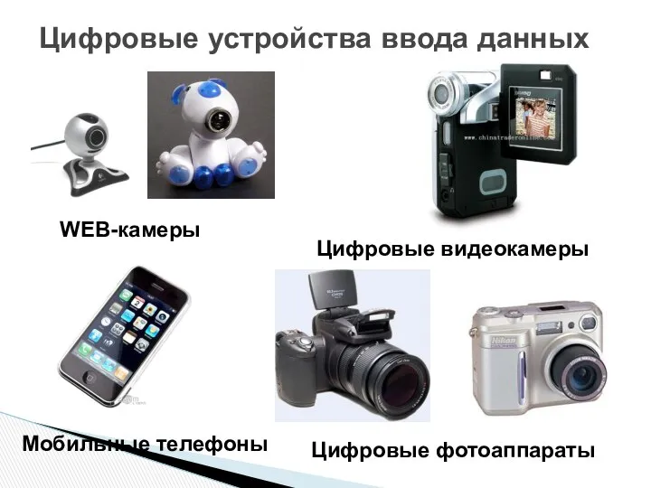 Цифровые устройства ввода данных WEB-камеры Мобильные телефоны Цифровые фотоаппараты Цифровые видеокамеры