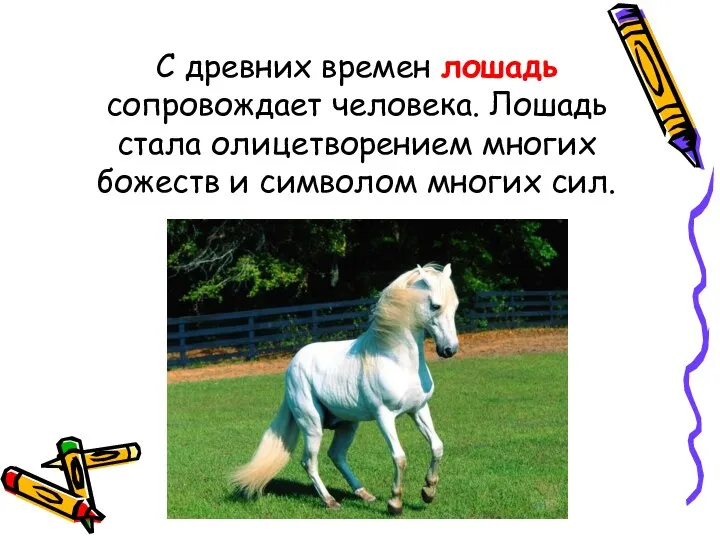 С древних времен лошадь сопровождает человека. Лошадь стала олицетворением многих божеств и символом многих сил.