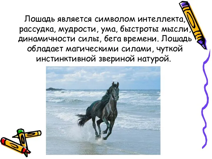 Лошадь является символом интеллекта, рассудка, мудрости, ума, быстроты мысли, динамичности силы,