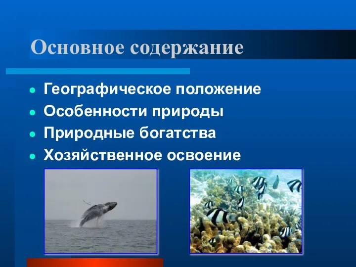 Основное содержание Географическое положение Особенности природы Природные богатства Хозяйственное освоение