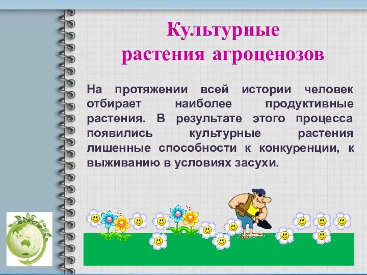 На протяжении всей истории человек отбирает наиболее продуктивные растения. В результате