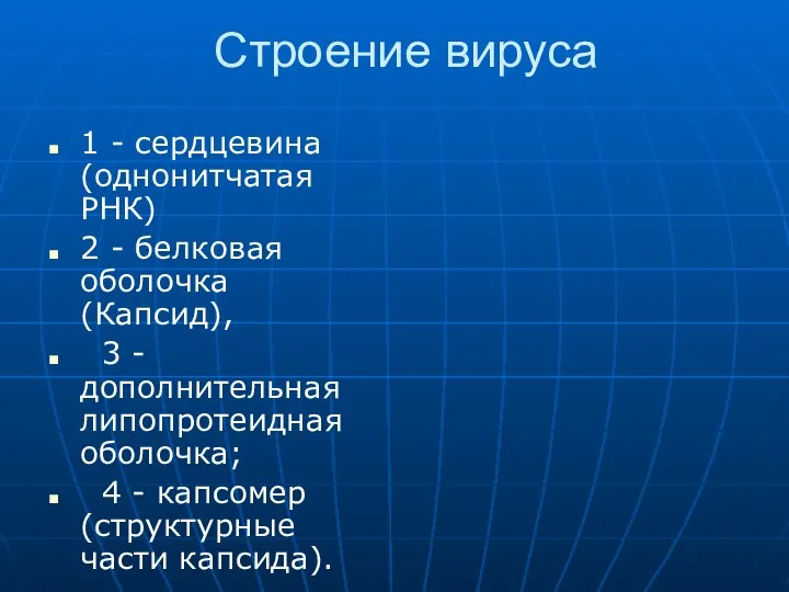 Строение вируса 1 - сердцевина (однонитчатая РНК) 2 - белковая оболочка