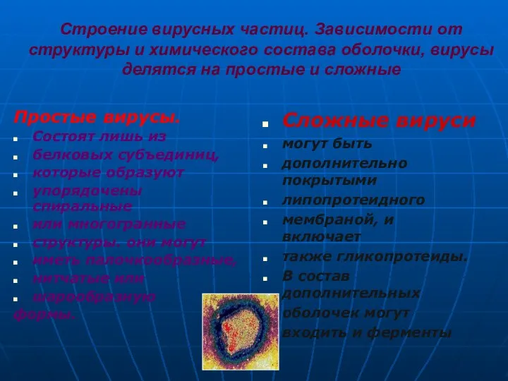 Строение вирусных частиц. Зависимости от структуры и химического состава оболочки, вирусы