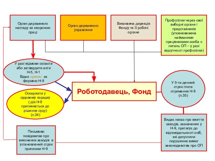 Орган державного нагляду за охороною праці Орган державного управління Виконавча дирекція