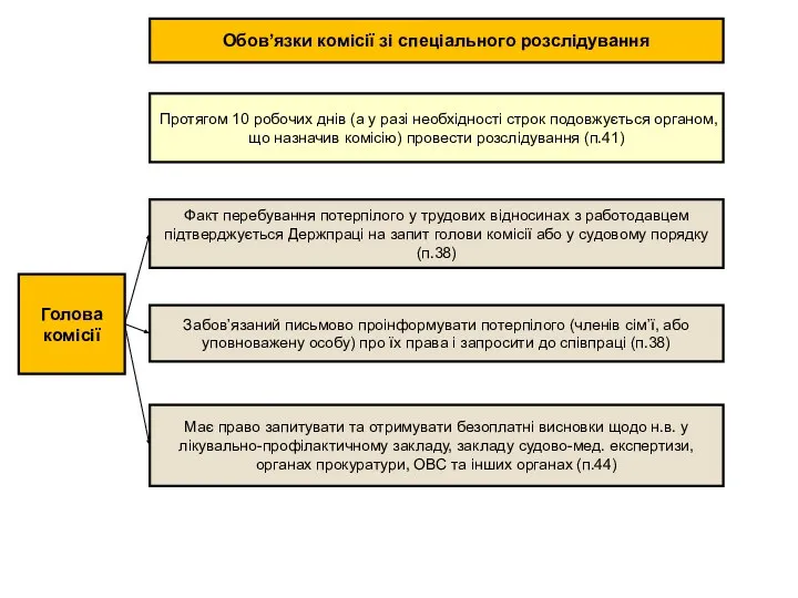 Обов’язки комісії зі спеціального розслідування Протягом 10 робочих днів (а у