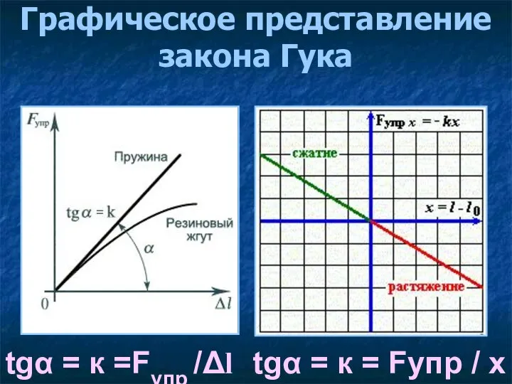 Графическое представление закона Гука tgα = к =Fупр /Δl tgα = к = Fупр / х