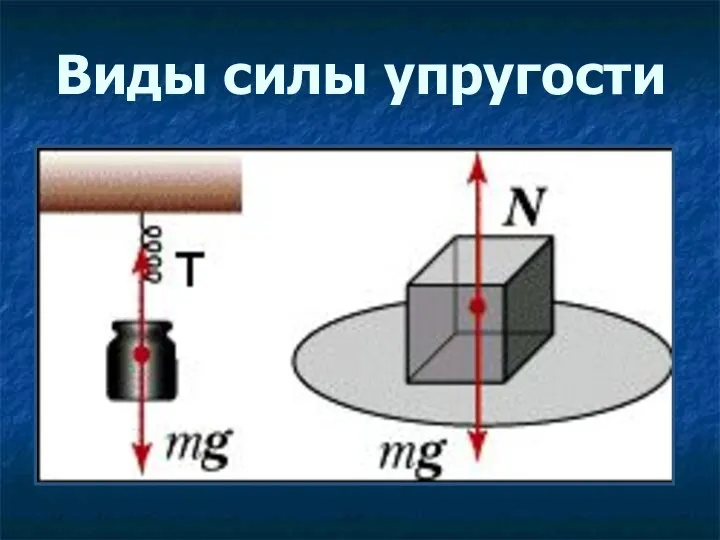 Виды силы упругости