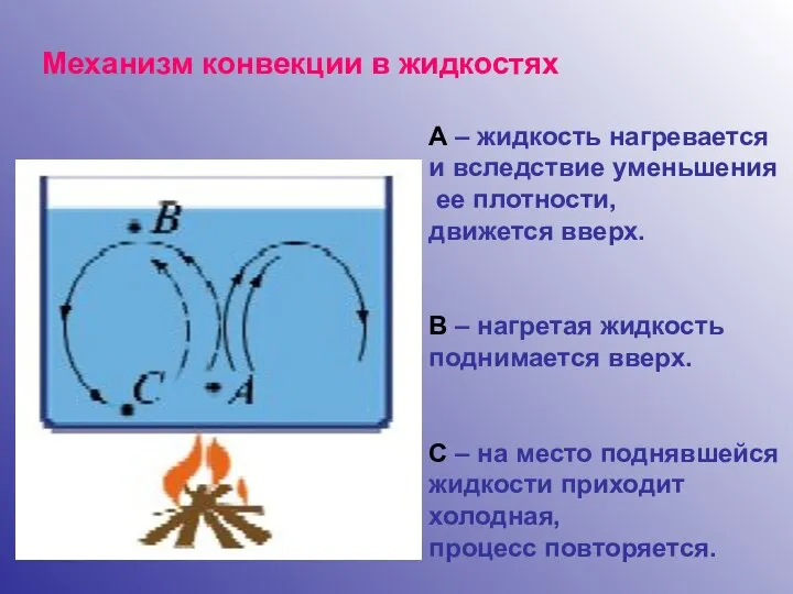 Механизм конвекции в жидкостях А – жидкость нагревается и вследствие уменьшения