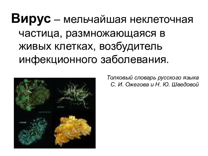 Вирус – мельчайшая неклеточная частица, размножающаяся в живых клетках, возбудитель инфекционного заболевания.