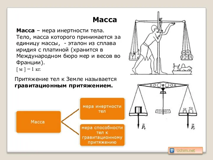 Масса Масса – мера инертности тела. Тело, масса которого принимается за