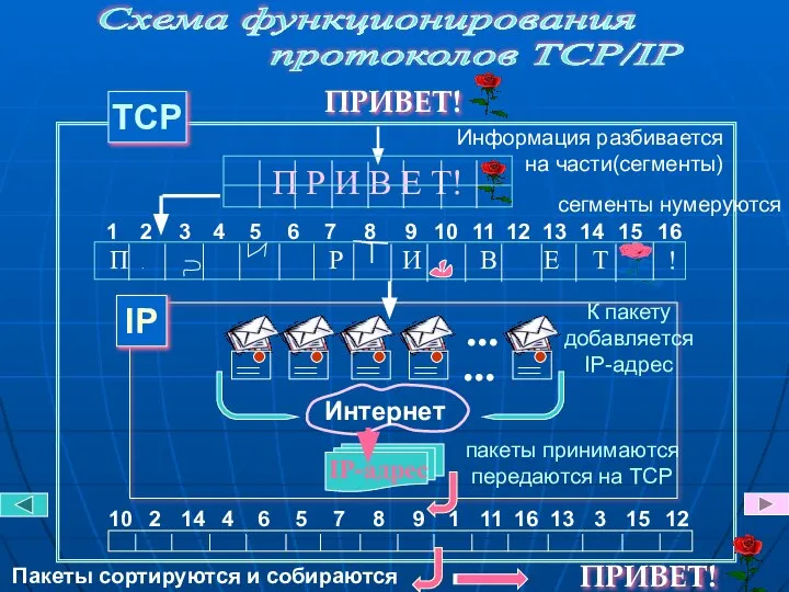 Схема функционирования протоколов TCP/IP TCP Информация разбивается на части(сегменты) сегменты нумеруются