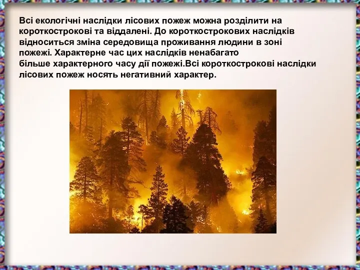 Всі екологічні наслідки лісових пожеж можна розділити на короткострокові та віддалені.