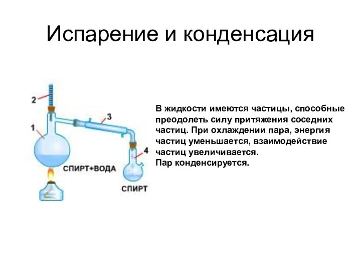 Испарение и конденсация В жидкости имеются частицы, способные преодолеть силу притяжения