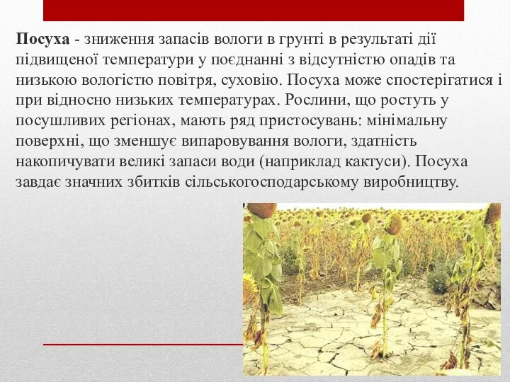 Посуха - зниження запасів вологи в грунті в результаті дії підвищеної