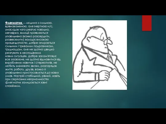 Флегматик — людина з сильною, врівноваженою, але інертною н/с, унаслідок чого