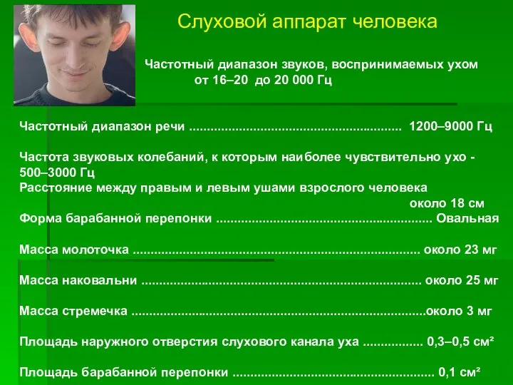 Слуховой аппарат человека Частотный диапазон звуков, воспринимаемых ухом от 16–20 до