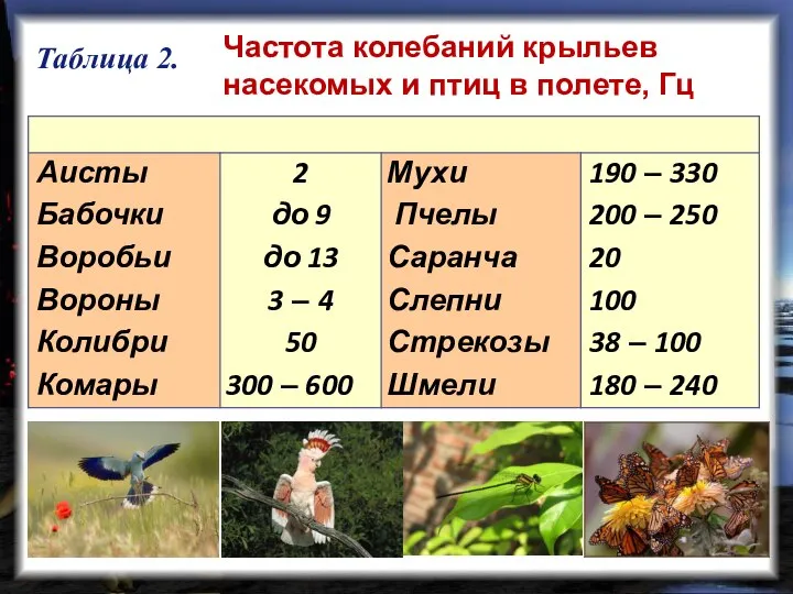 Таблица 2. Частота колебаний крыльев насекомых и птиц в полете, Гц