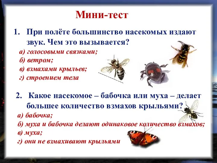 Мини-тест При полёте большинство насекомых издают звук. Чем это вызывается? а)