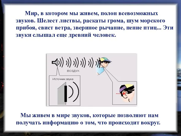 Мы живем в мире звуков, которые позволяют нам получать информацию о