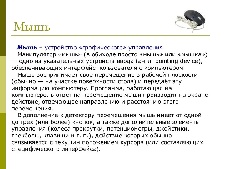 Мышь Мышь – устройство «графического» управления. Манипуля́тор «мышь» (в обиходе просто