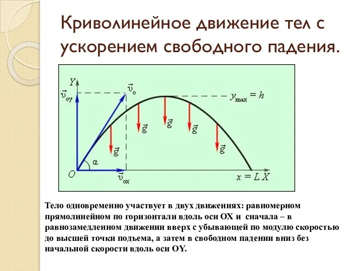 Криволинейное движение тел с ускорением свободного падения. Тело одновременно участвует в