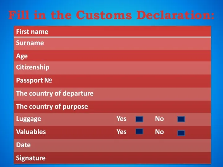 Fill in the Customs Declaration: