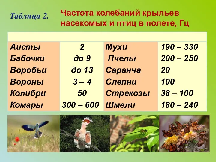 Таблица 2. Частота колебаний крыльев насекомых и птиц в полете, Гц