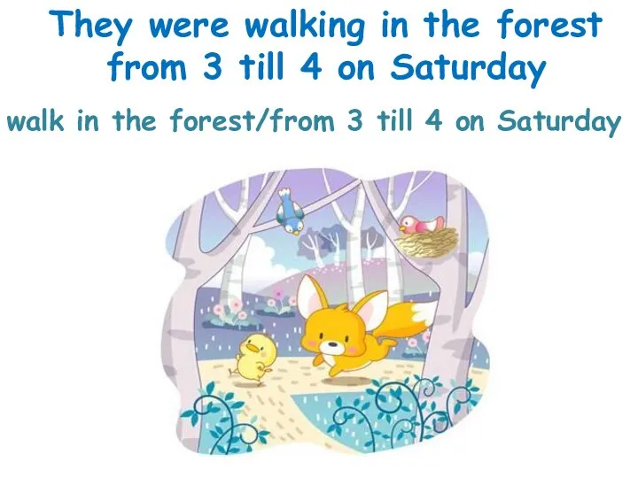 walk in the forest/from 3 till 4 on Saturday They were