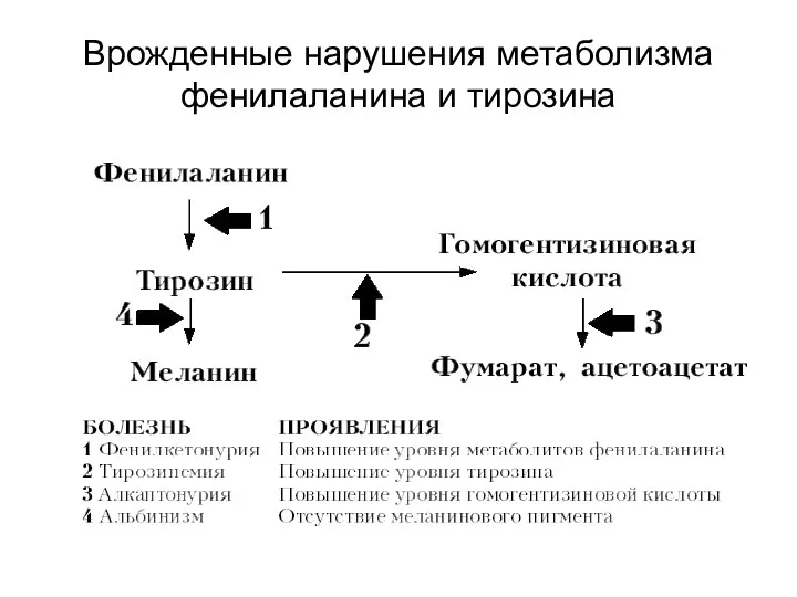 Врожденные нарушения метаболизма фенилаланина и тирозина