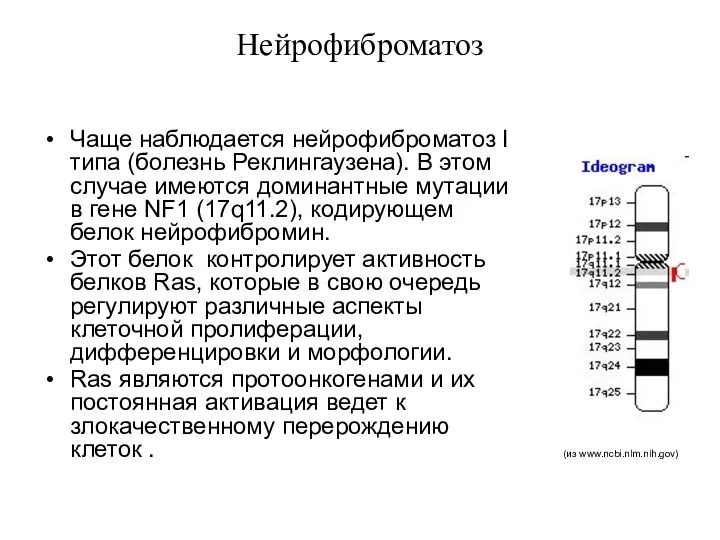 Нейрофиброматоз Чаще наблюдается нейрофиброматоз I типа (болезнь Реклингаузена). В этом случае