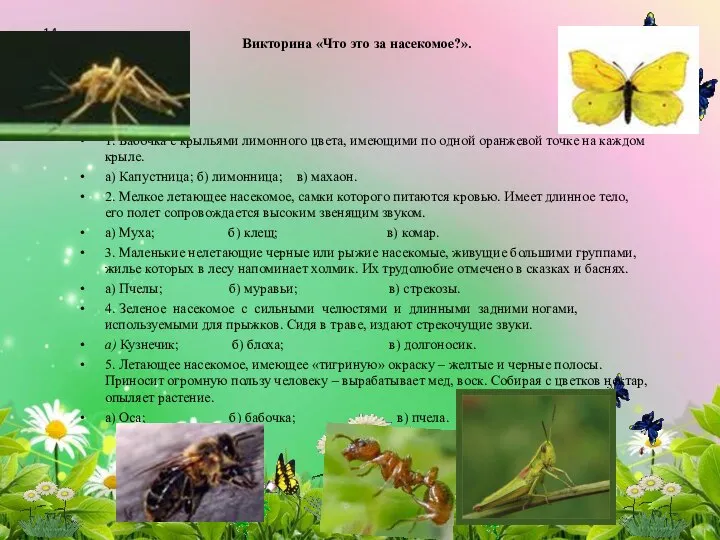 Викторина «Что это за насекомое?». 1. Бабочка с крыльями лимонного цвета,