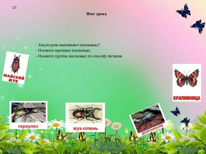 Итог урока - Какую роль выполняют насекомые? – Назовите признаки насекомых.