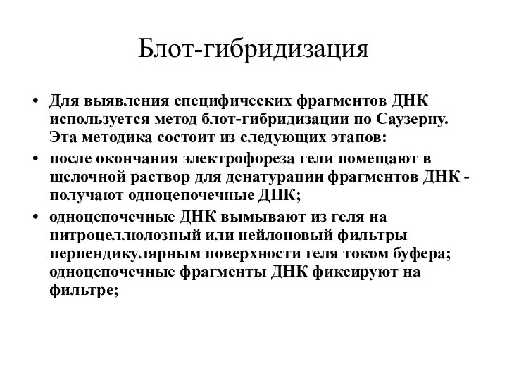 Блот-гибридизация Для выявления специфических фрагментов ДНК используется метод блот-гибридизации по Саузерну.