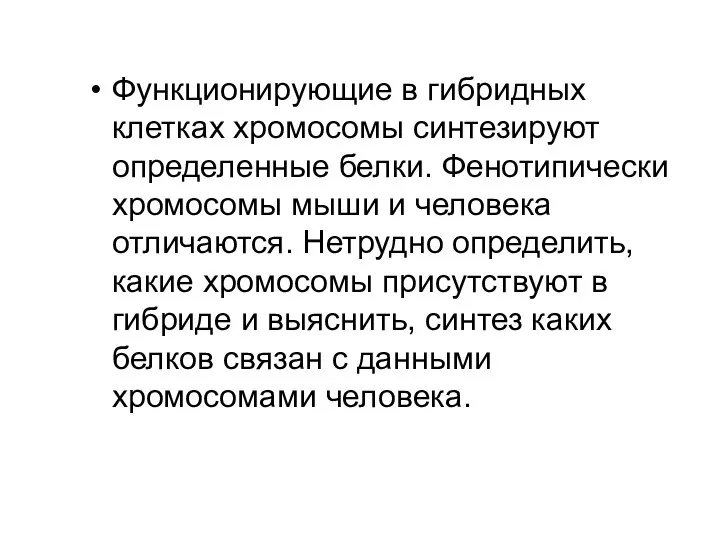 Функционирующие в гибридных клетках хромосомы синтезируют определенные белки. Фенотипически хромосомы мыши