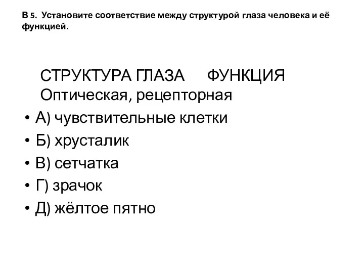 В 5. Установите соответствие между структурой глаза человека и её функцией.