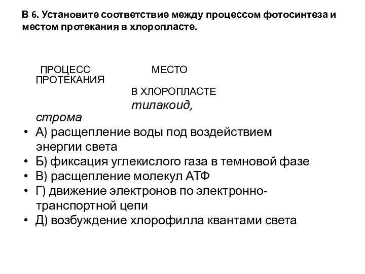 В 6. Установите соответствие между процессом фотосинтеза и местом протекания в