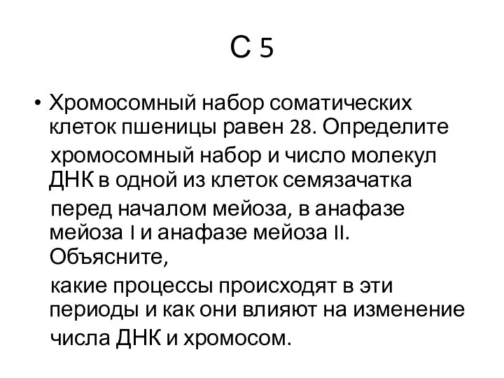 С 5 Хромосомный набор соматических клеток пшеницы равен 28. Определите хромосомный