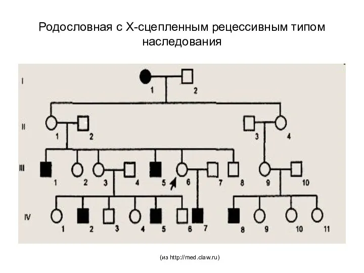 Родословная с Х-сцепленным рецессивным типом наследования (из http://med.claw.ru)