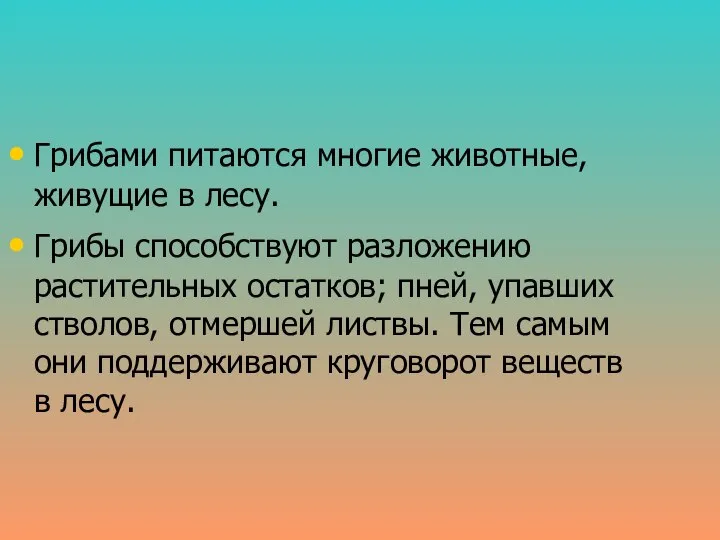 Грибами питаются многие животные, живущие в лесу. Грибы способствуют разложению растительных