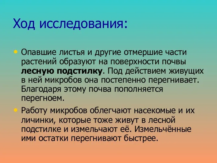 Ход исследования: Опавшие листья и другие отмершие части растений образуют на