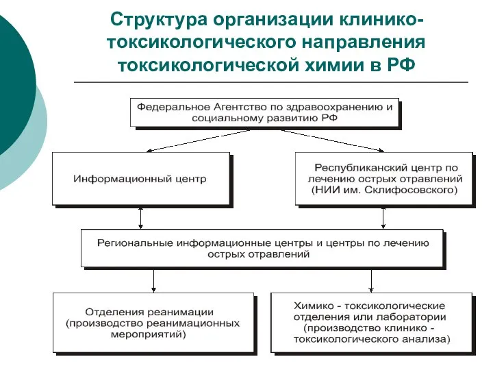 Структура организации клинико-токсикологического направления токсикологической химии в РФ