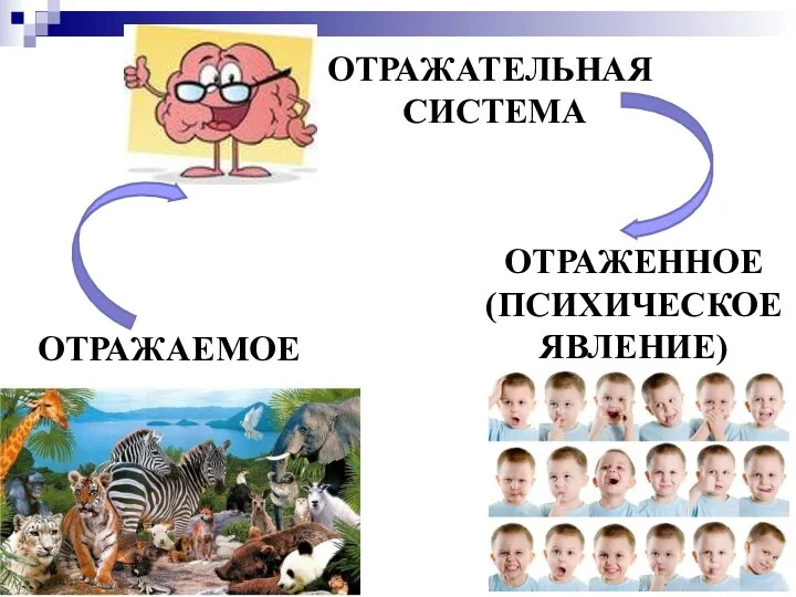 ОТРАЖАЕМОЕ ОТРАЖАТЕЛЬНАЯ СИСТЕМА ОТРАЖЕННОЕ (ПСИХИЧЕСКОЕ ЯВЛЕНИЕ)