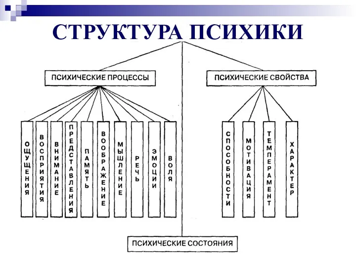 СТРУКТУРА ПСИХИКИ