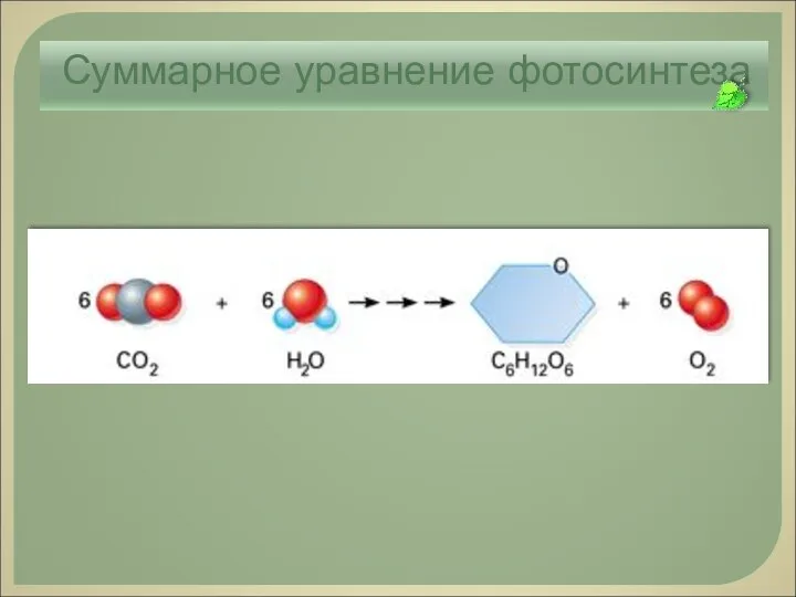 Суммарное уравнение фотосинтеза