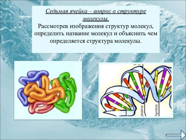 Седьмая ячейка – вопрос о структуре молекулы. Рассмотрев изображения структур молекул,