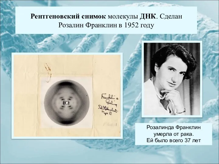 Рентгеновский снимок молекулы ДНК. Сделан Розалин Франклин в 1952 году Розалинда