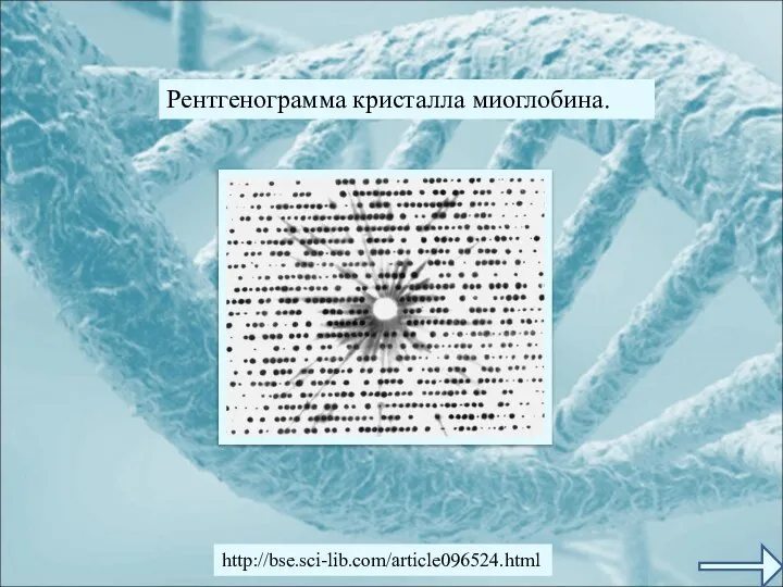 Рентгенограмма кристалла миоглобина. http://bse.sci-lib.com/article096524.html