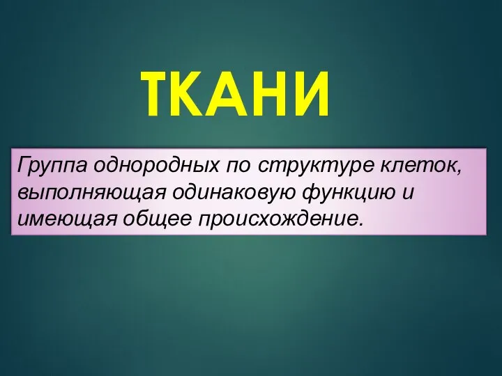 ТКАНИ Группа однородных по структуре клеток, выполняющая одинаковую функцию и имеющая общее происхождение.